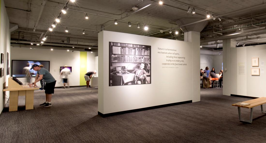 Photo of exhibit at MIT
